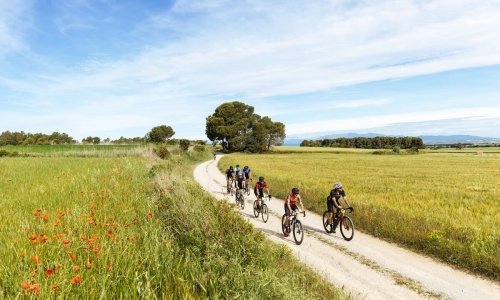Girona Madam Vélo Gravel