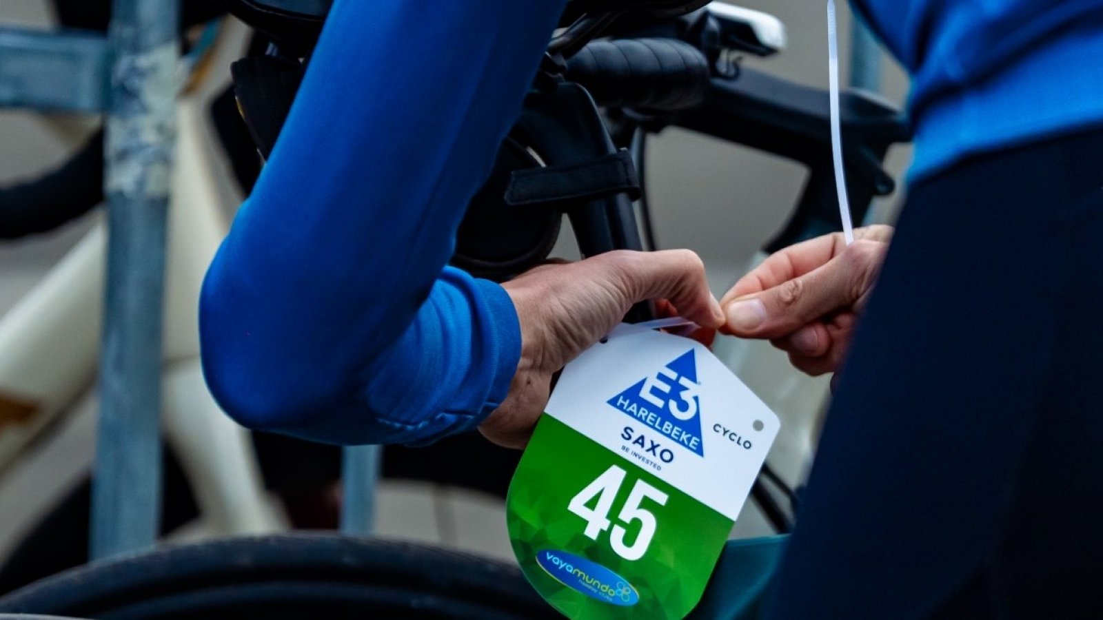 Meet The Team - Artikel - Flammerouge